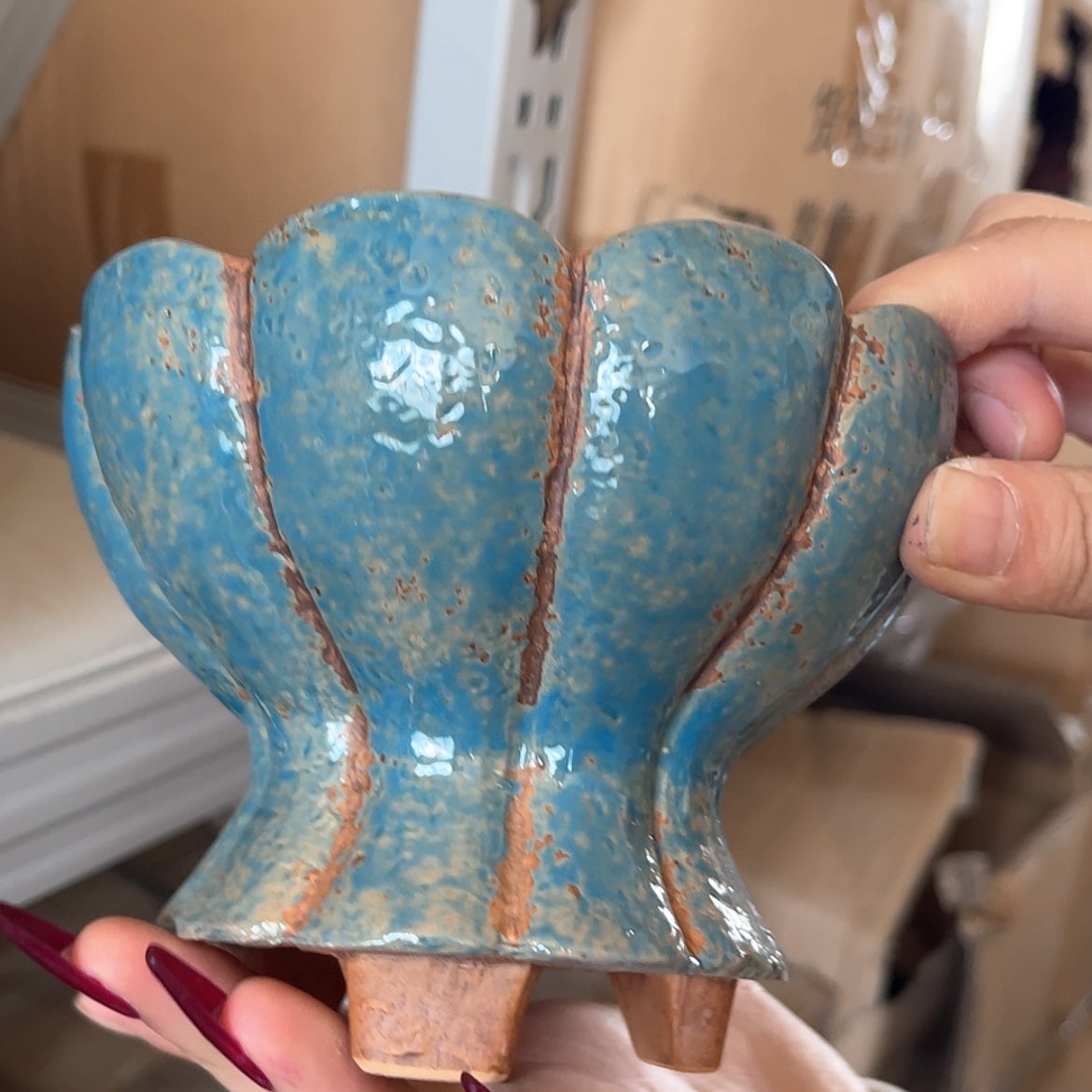 【闪购商品】红陶福利