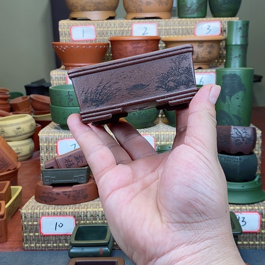 紫砂花盆我在等一