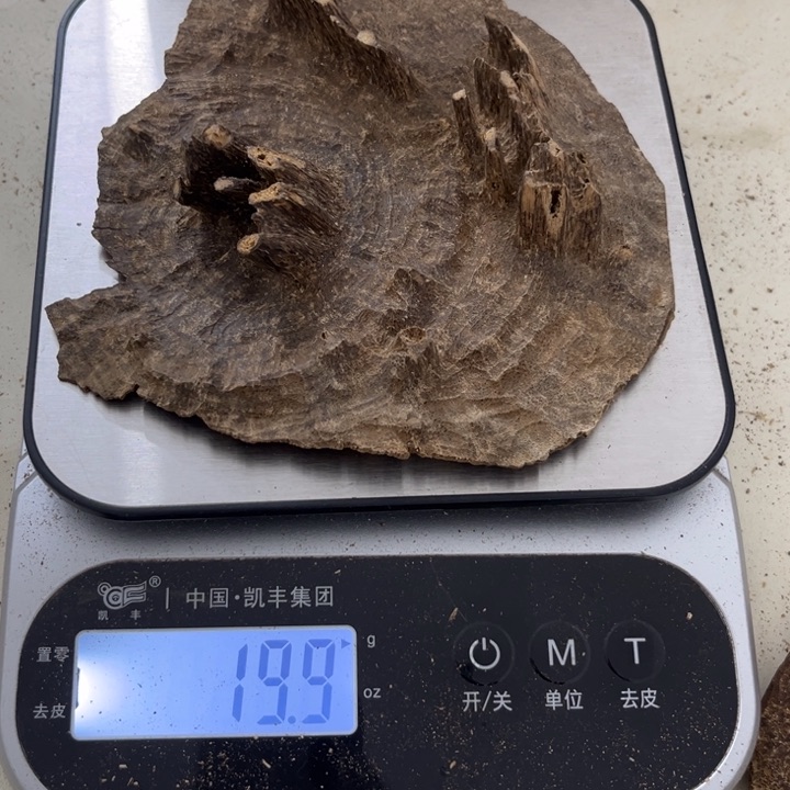 沉香木摆件海南沉香19克