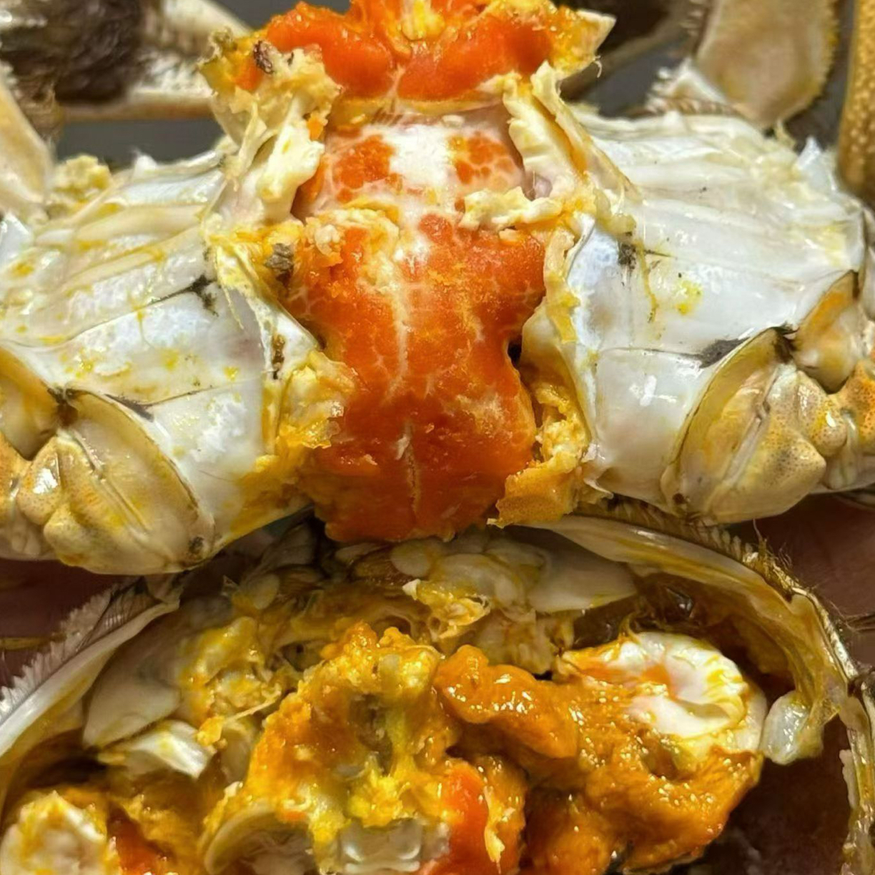 【活蟹】2.5母/3两公大闸蟹 6-10只可选