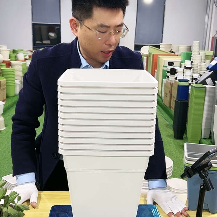 正品方盆口23高26白色5只无托