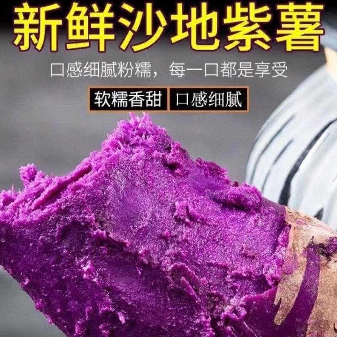沙地现挖紫罗兰紫薯9蜜薯紫心红薯粉糯粗粮番薯地瓜