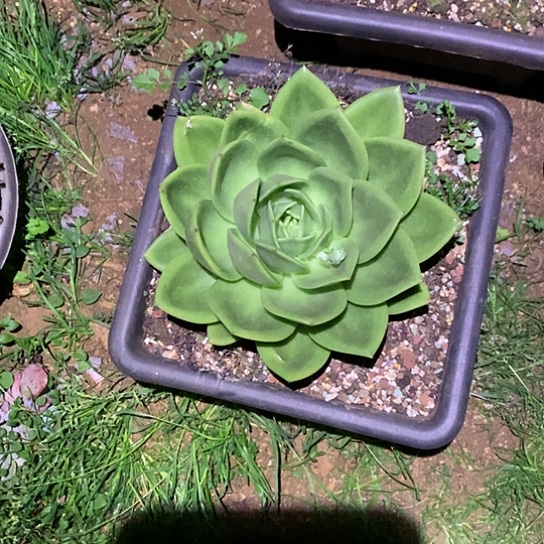 留****)美肉特价活动开始了