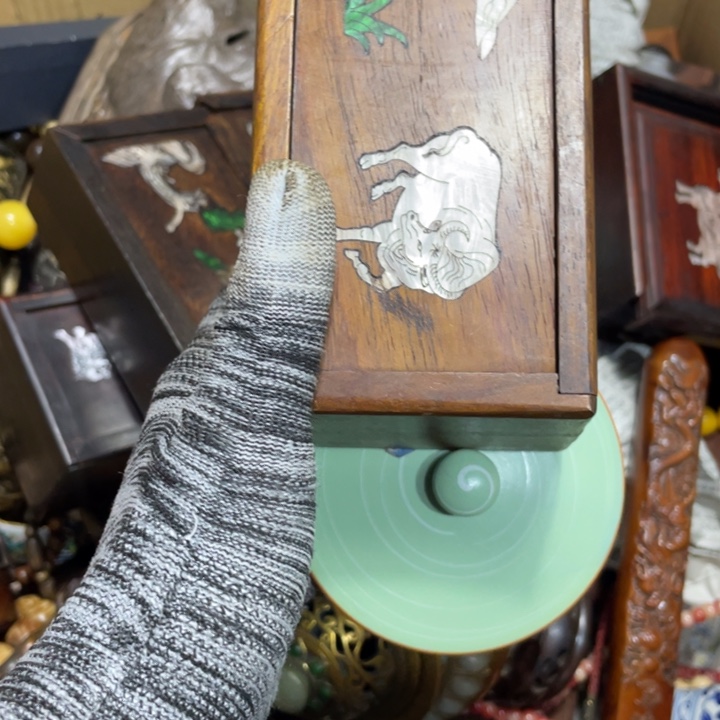 紫砂陶瓷艺术陶瓷艺术