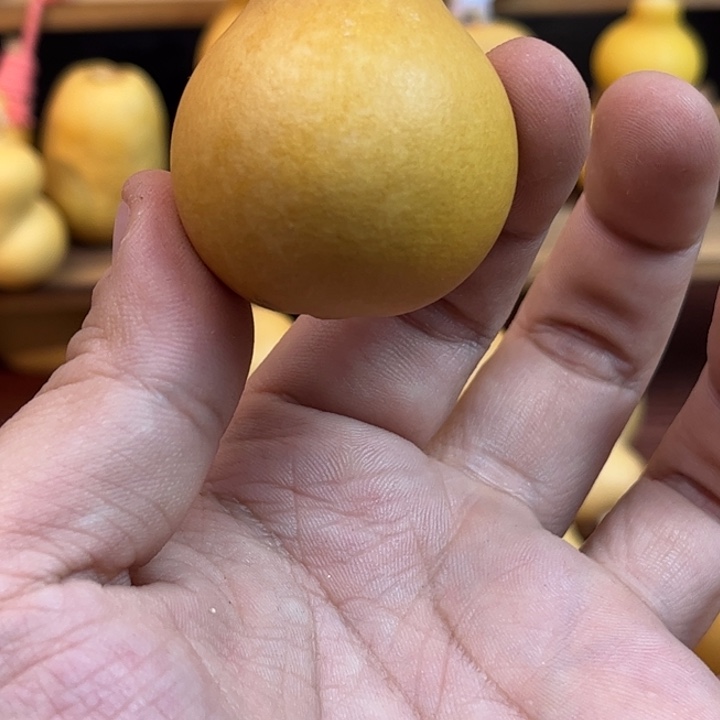 大**3嗯！这些问题就是不容易！葫芦鸡