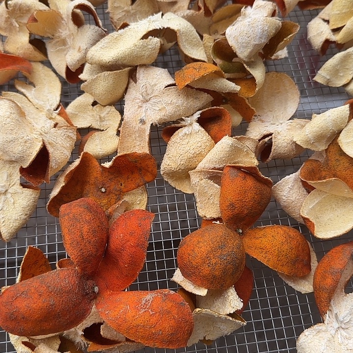 红橘农家自晒川红橘皮净重1斤超级无敌丑慎拍