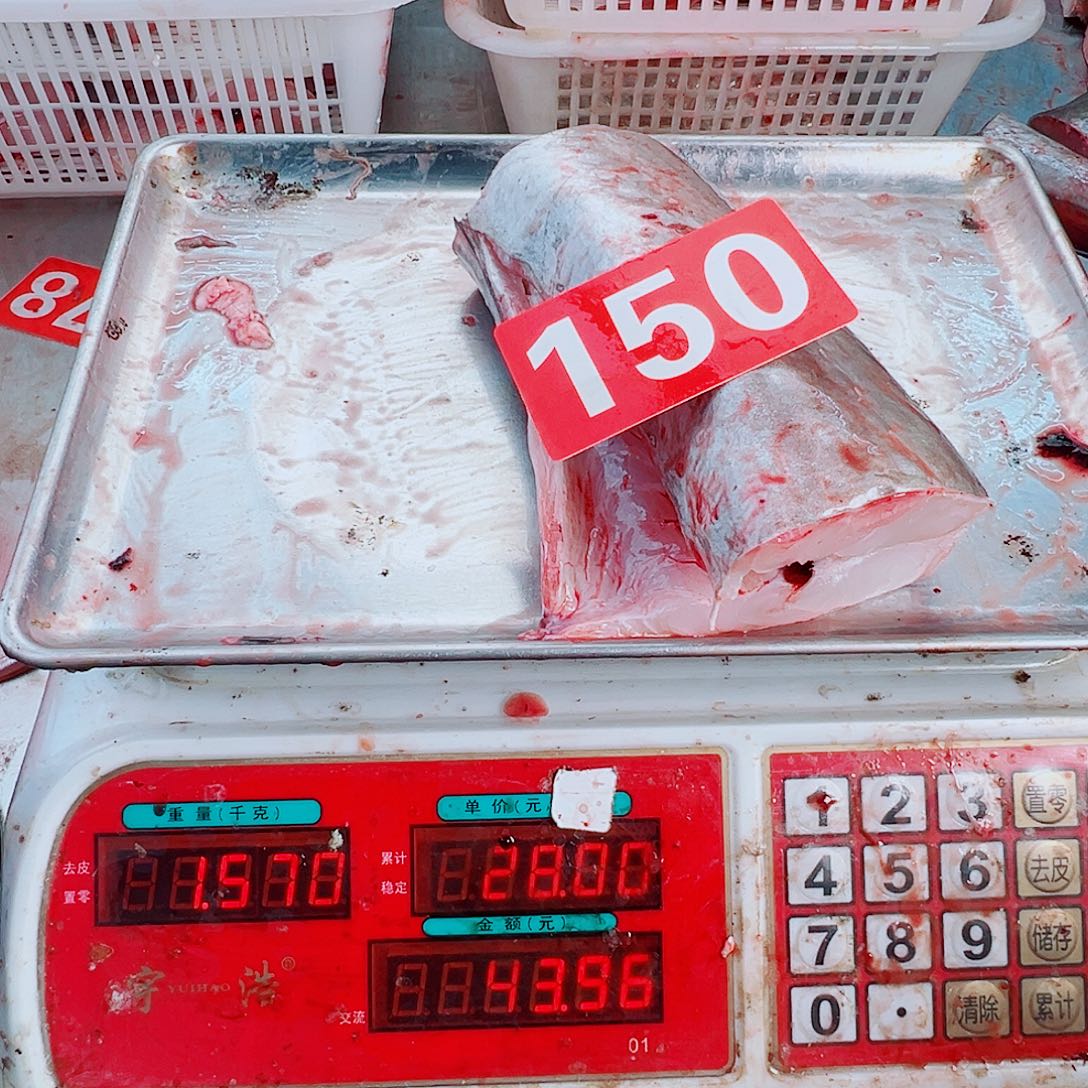 中国大陆鳗鱼肉一块