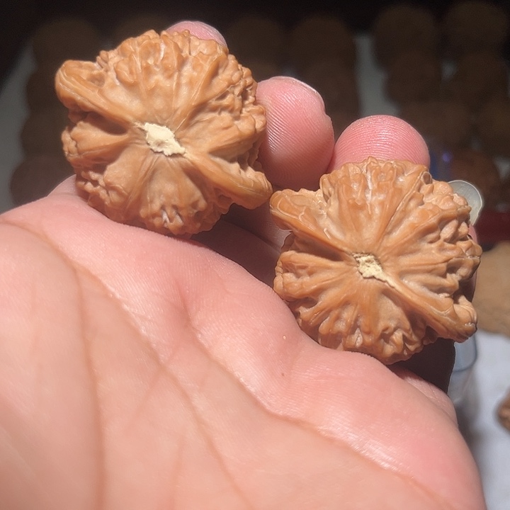 柏***图木44宫灯。          