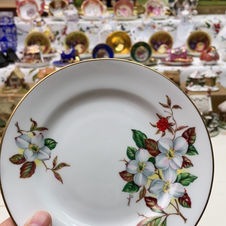 盘维多利亚欧洲中古