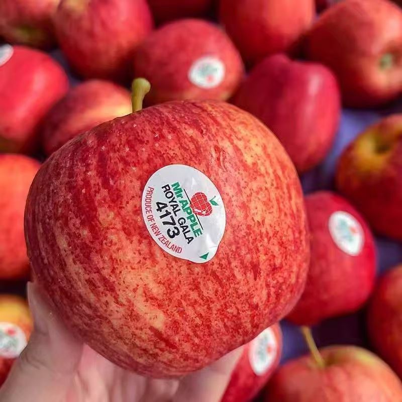 新西兰红佳丽苹果10个果2斤左右【阿班果业】新西兰新鲜苹果新西兰