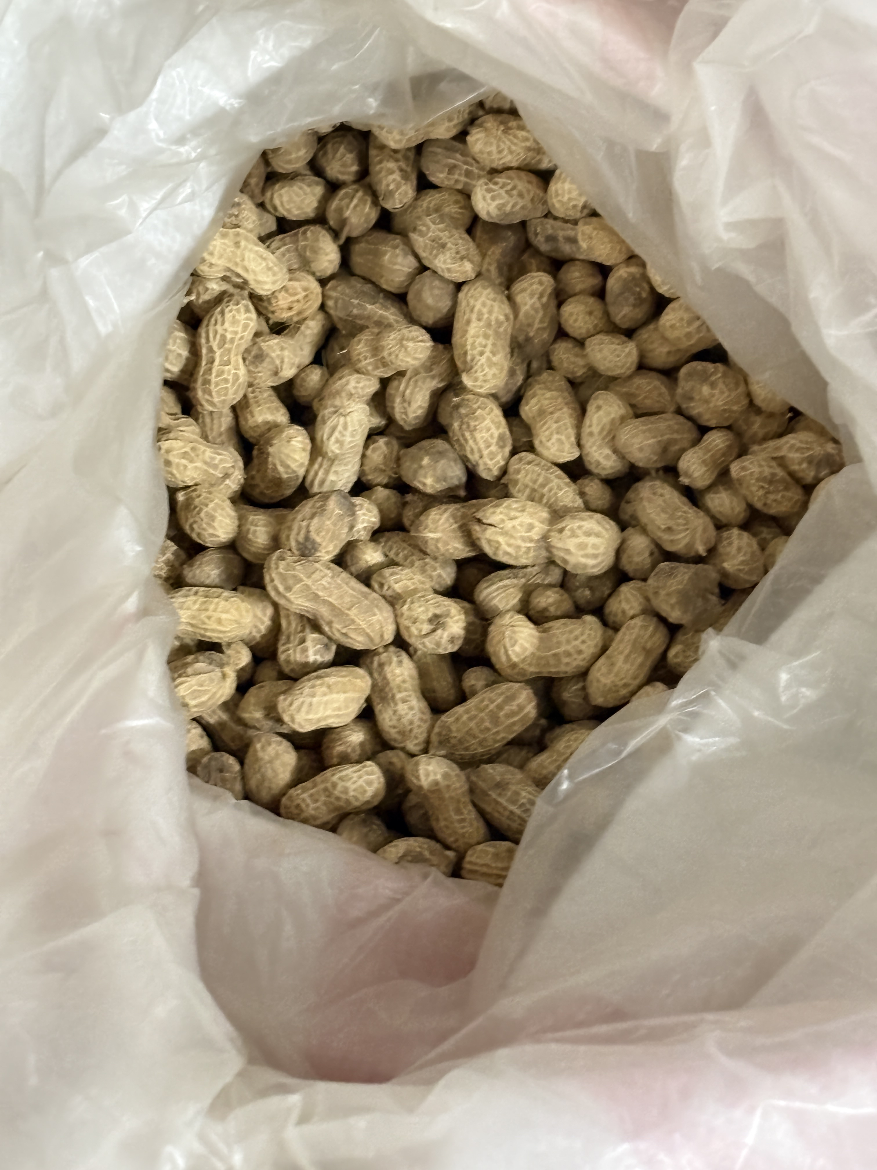 农村自家种植得花生，有大有小颗粒，无农药无化肥