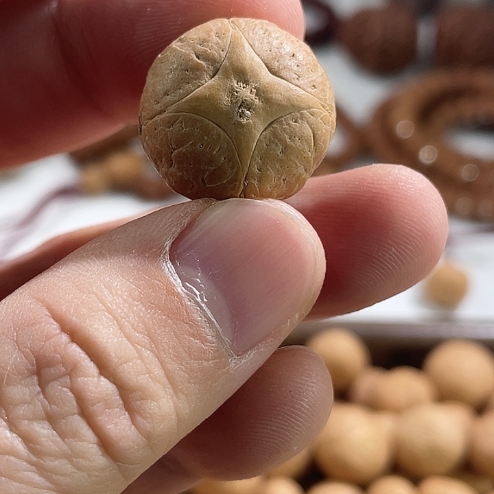 凤眼菩提手串尼泊尔小凤眼