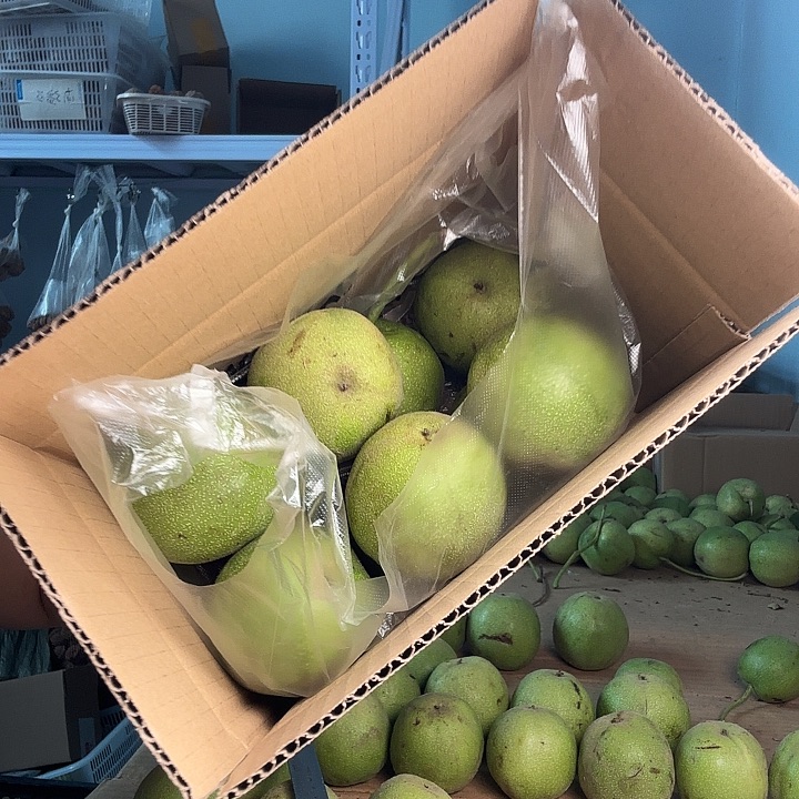 文玩核桃吊坠11个超大