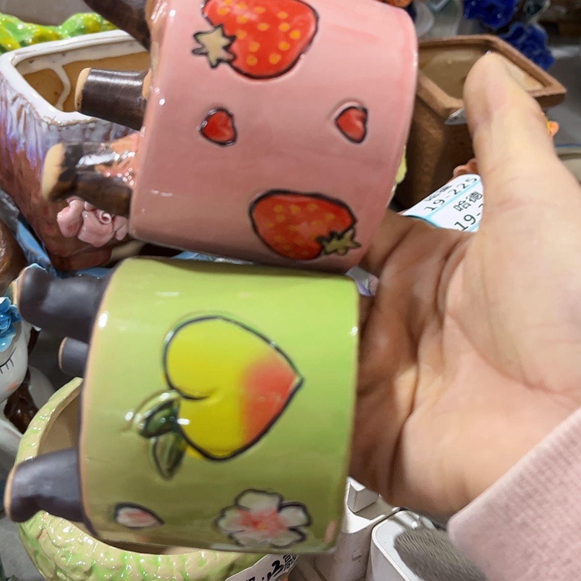 【闪购商品】红陶福利