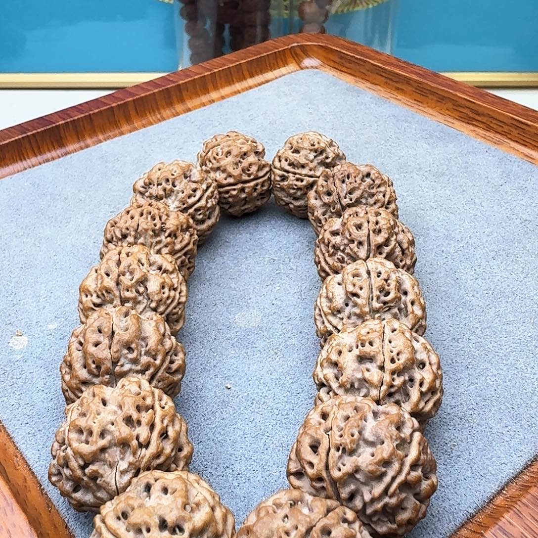 金刚菩提手串蜂窝双龙