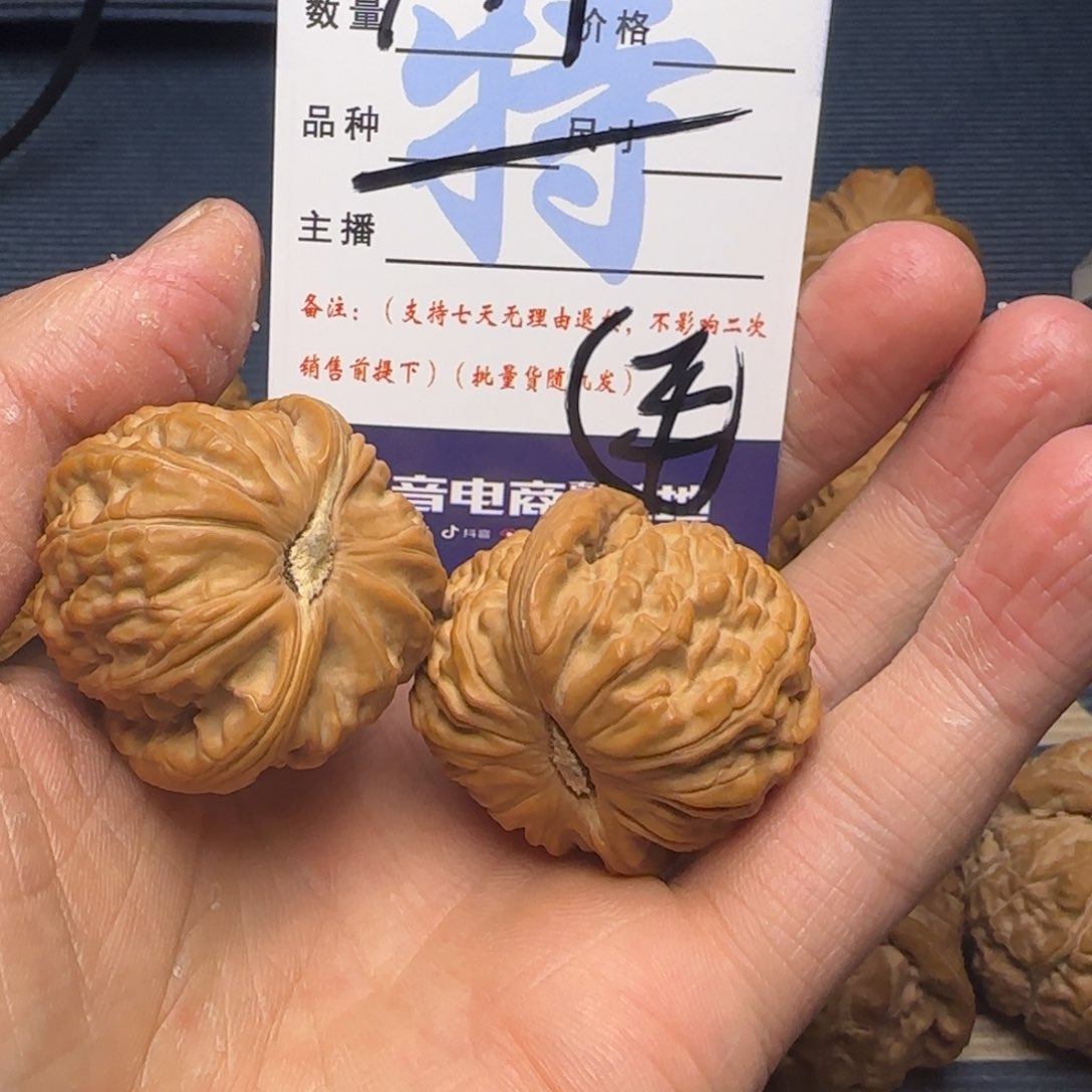 白狮子的故事是一