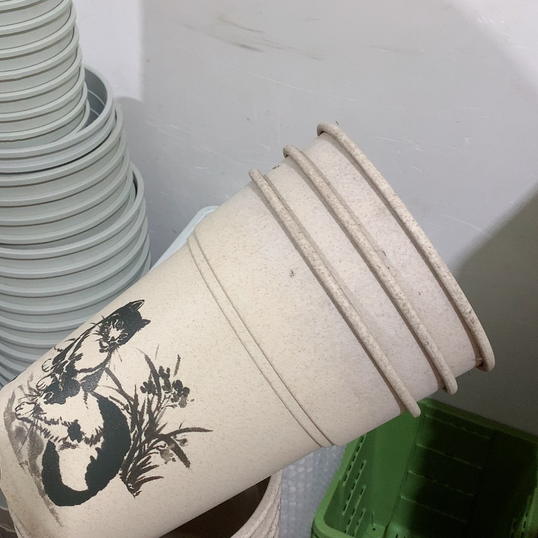 树脂兰花口21，3个无托瑕疵