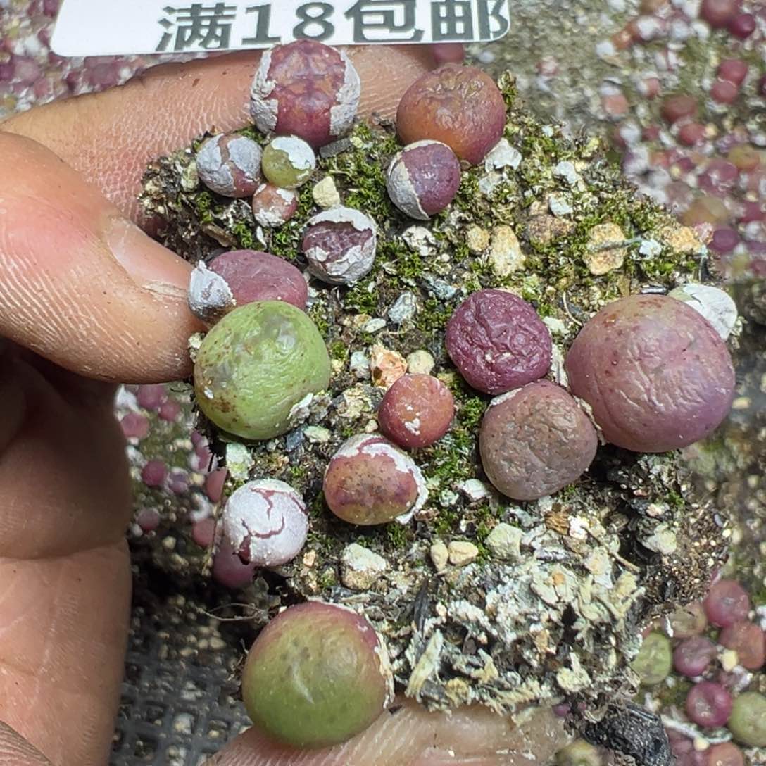 【闪购商品】 823。   