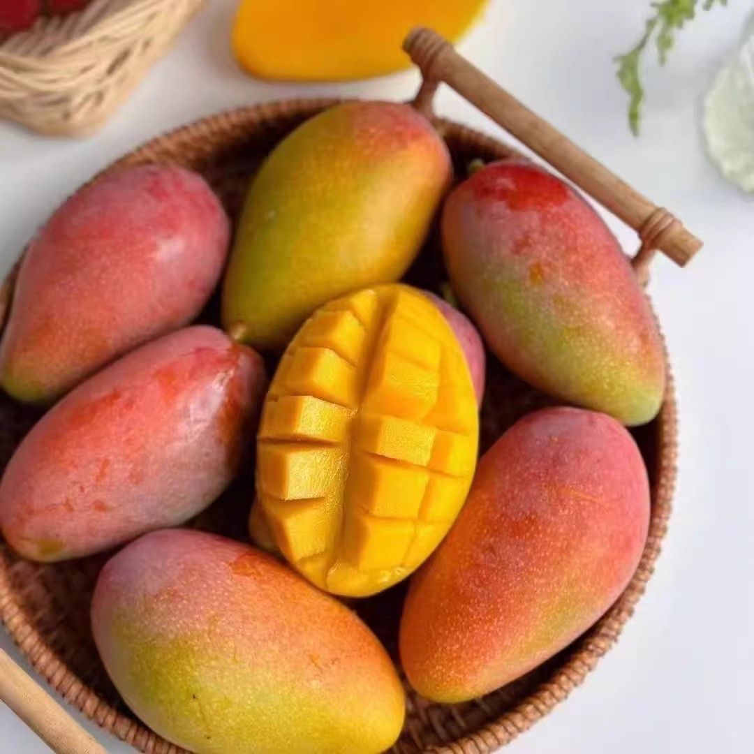 【带箱10斤】广西百色贵妃芒果新鲜水果采摘催熟食香甜D