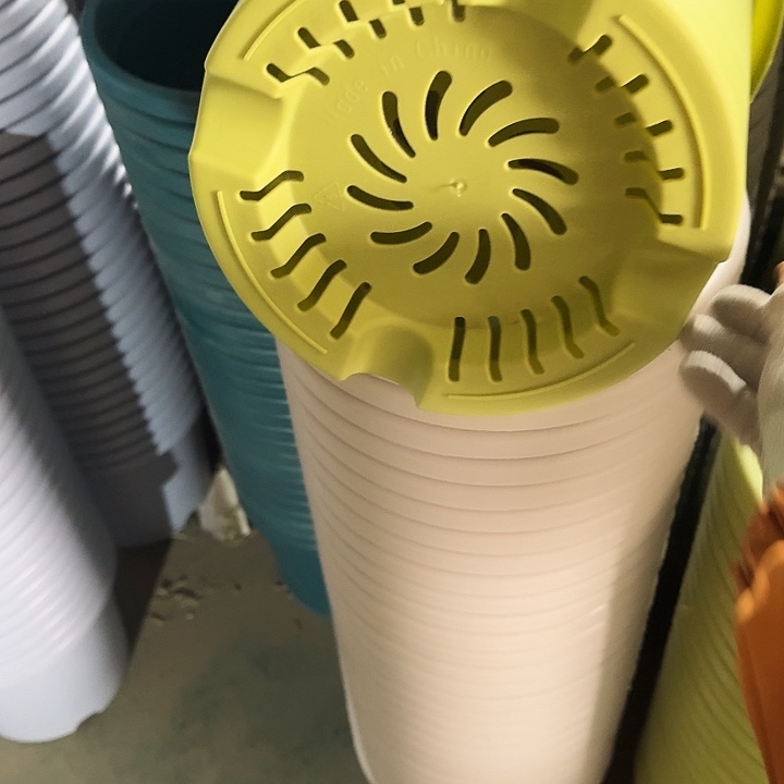 四季5#口径29果绿10个无托