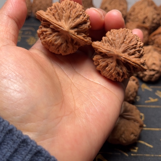 40盘龙纹老树老果红皮