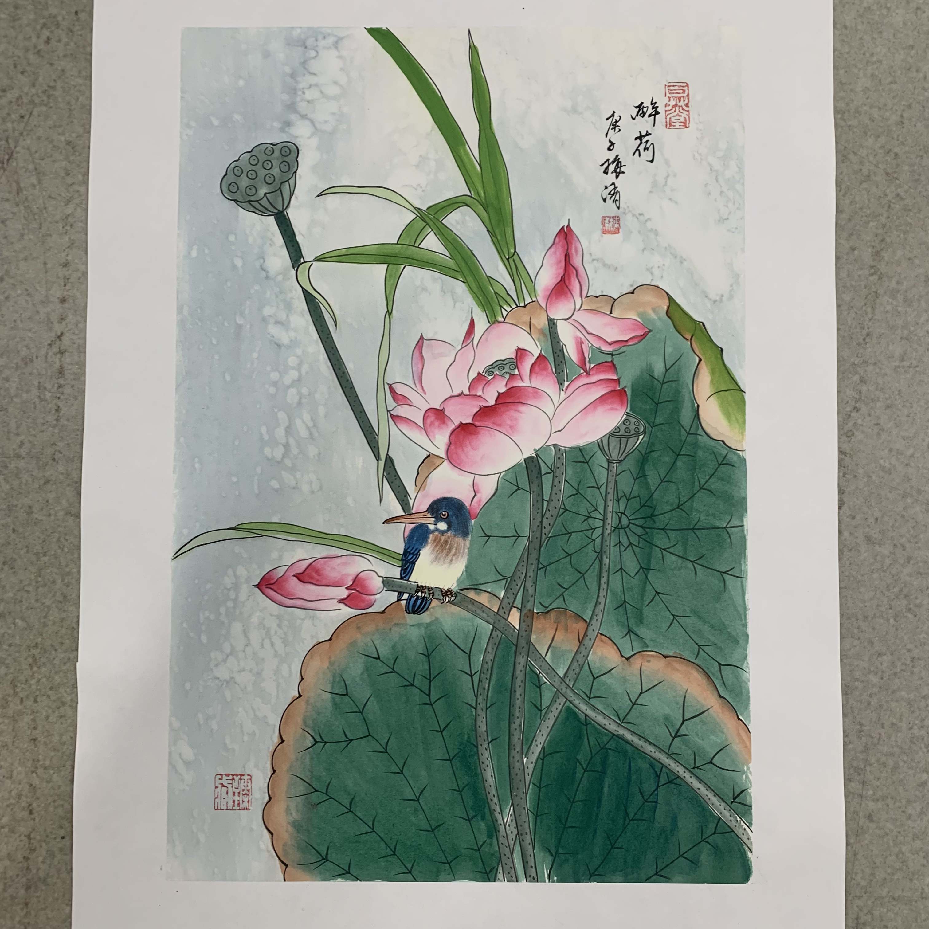 梅清绘画2.7pc花鸟
