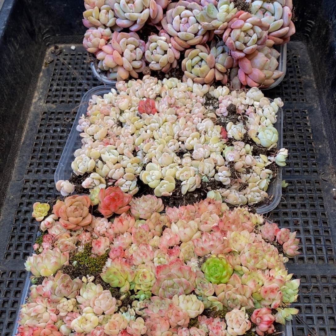 649多人在一起的时候我