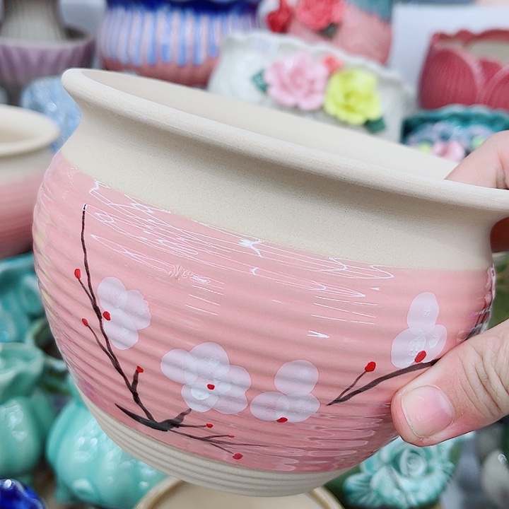 多肉植物陶瓷花盆