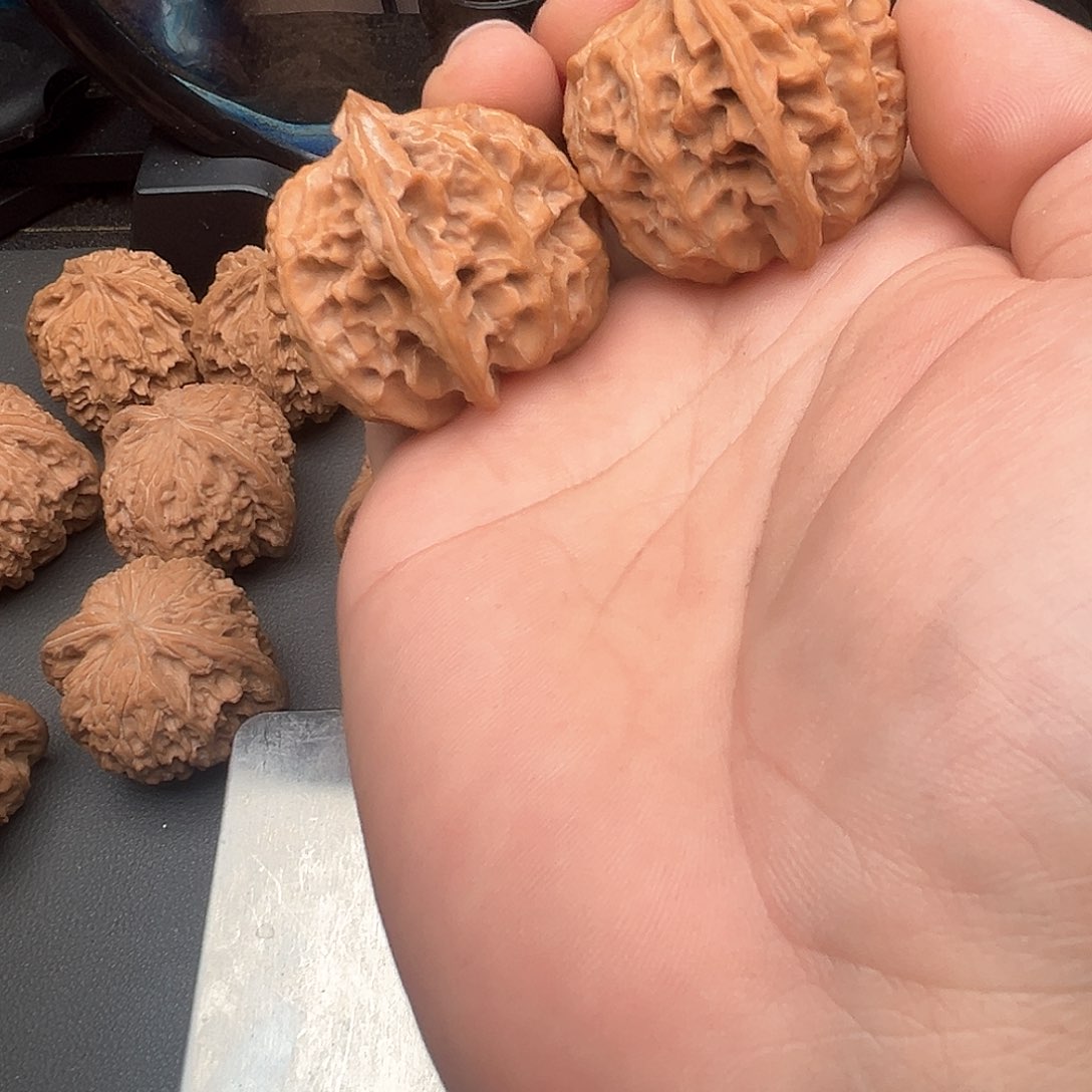 文玩核桃吊坠小*苹果