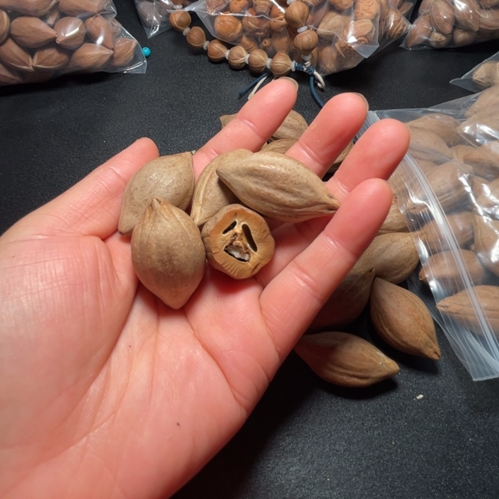 北***面猪牙手串/手链我是