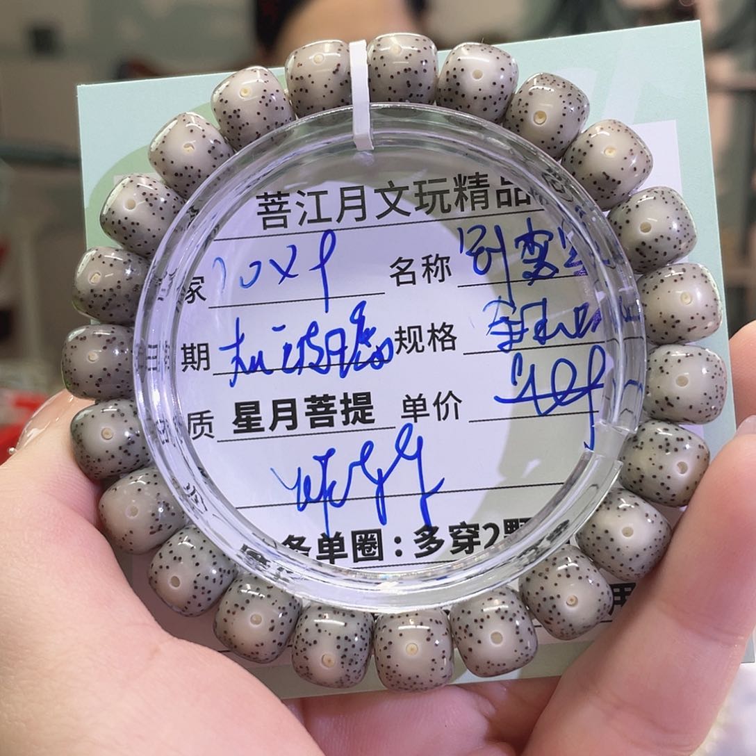 星月菩提手串海南同枝果A8