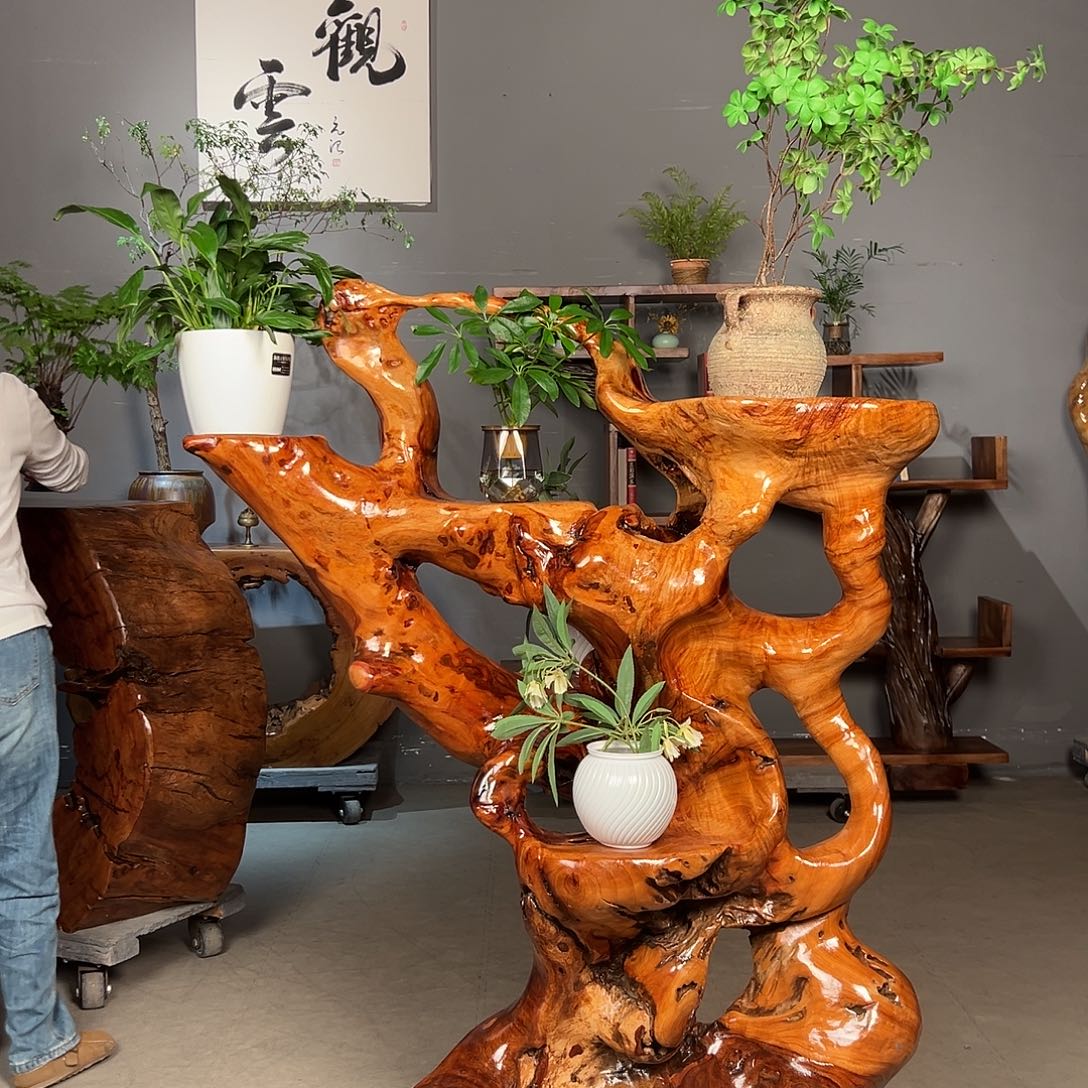 金***瑞香樟木整体无拼接