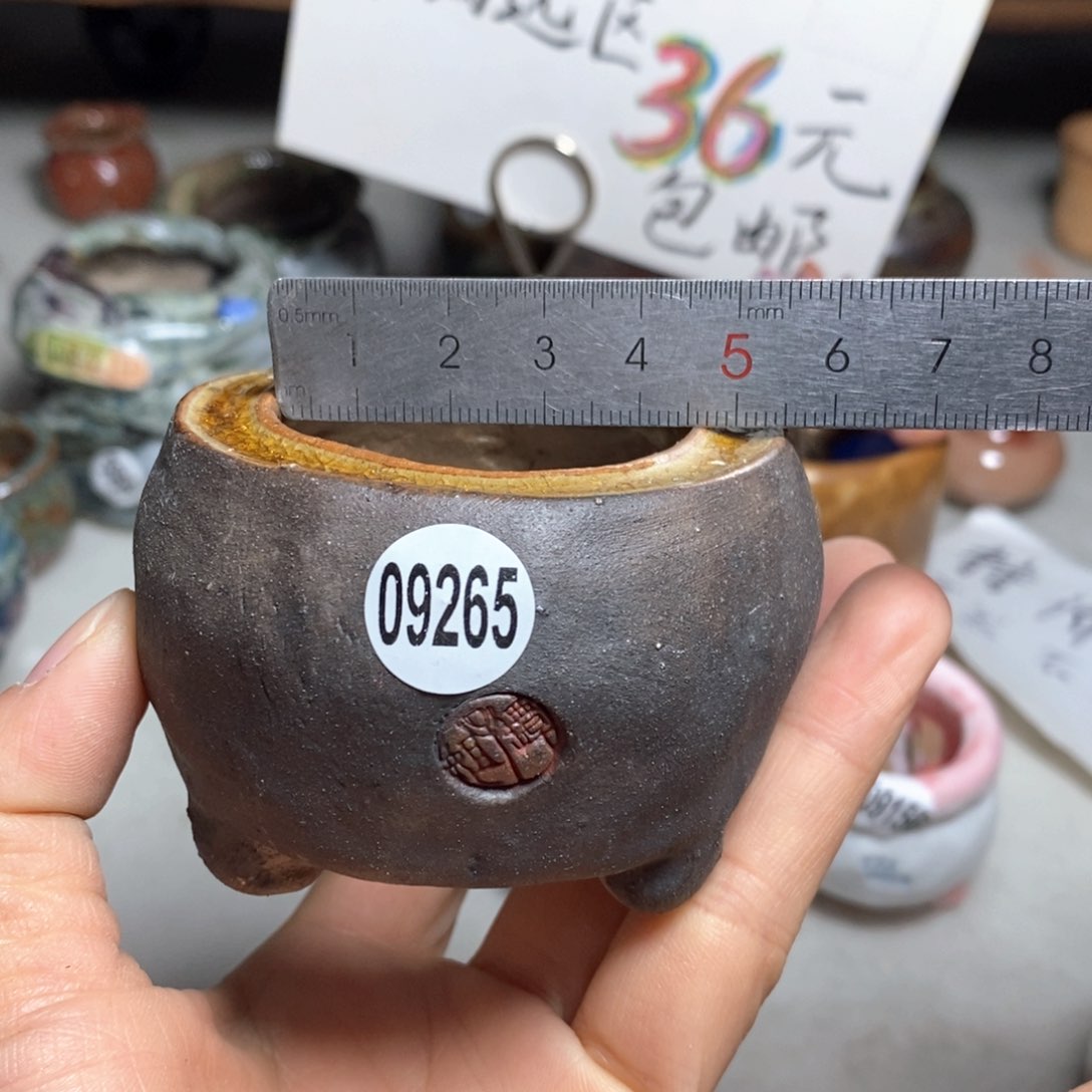 花盆双十二活动不退不换的原28元一个