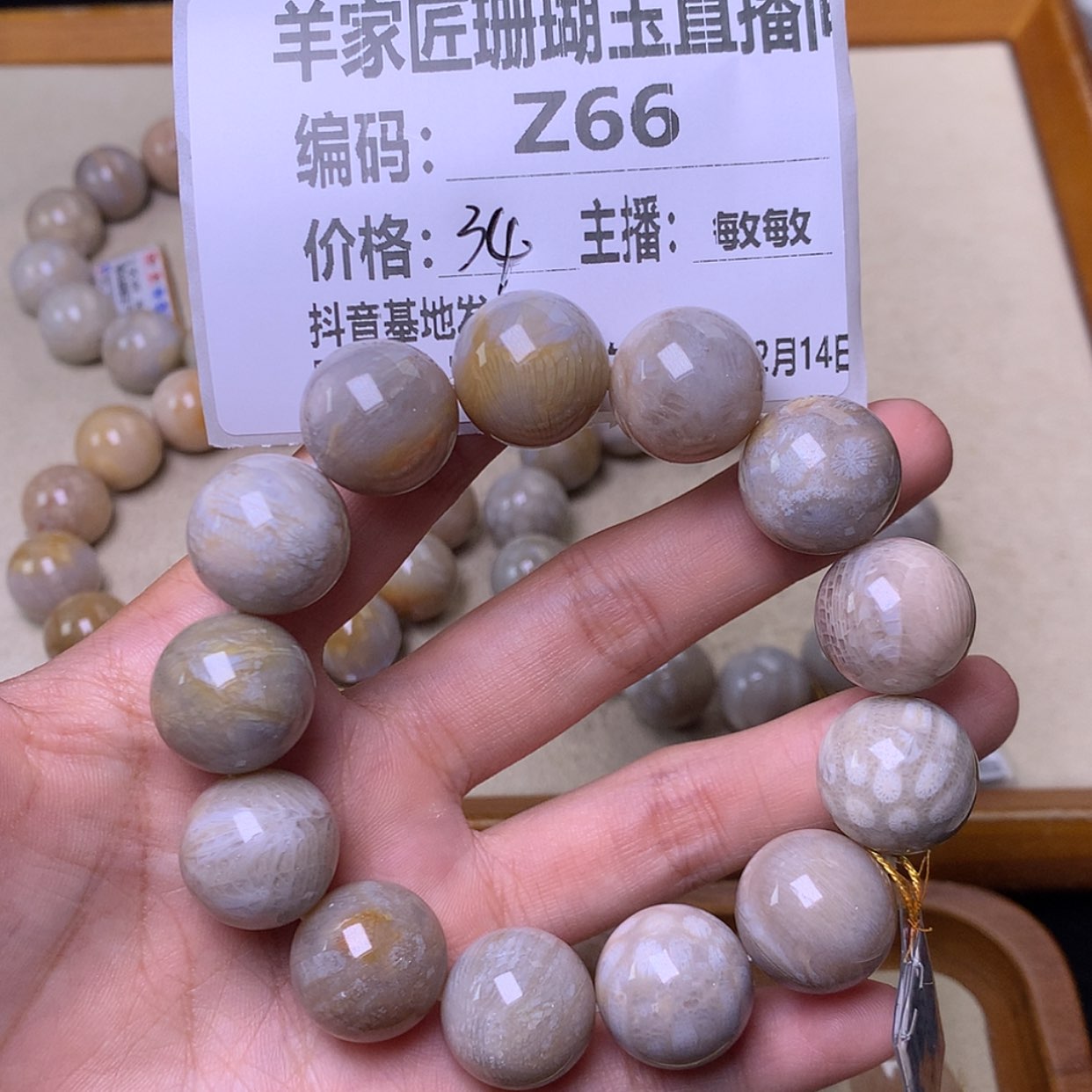 【闪购商品】硅化珊瑚（珊瑚玉）手链未镶嵌莫*Z66
