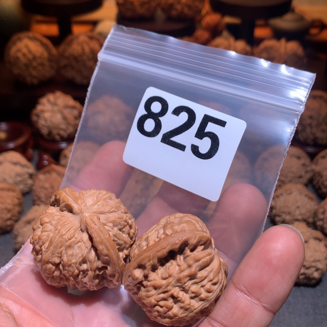 皮***扎桃核把件白狮子825号