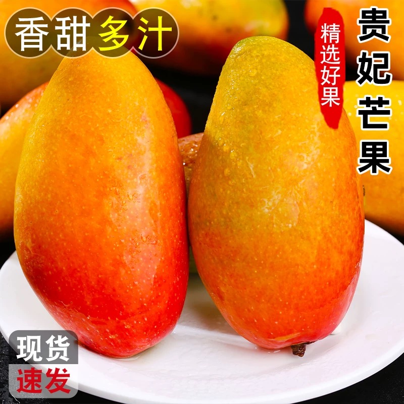 【催熟食用】贵妃芒整箱新鲜树上熟芒红金龙新鲜现摘L6
