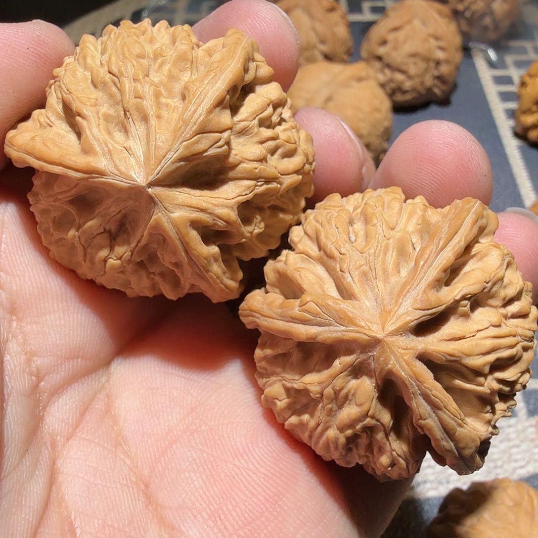 文玩核桃吊坠御龙正奔