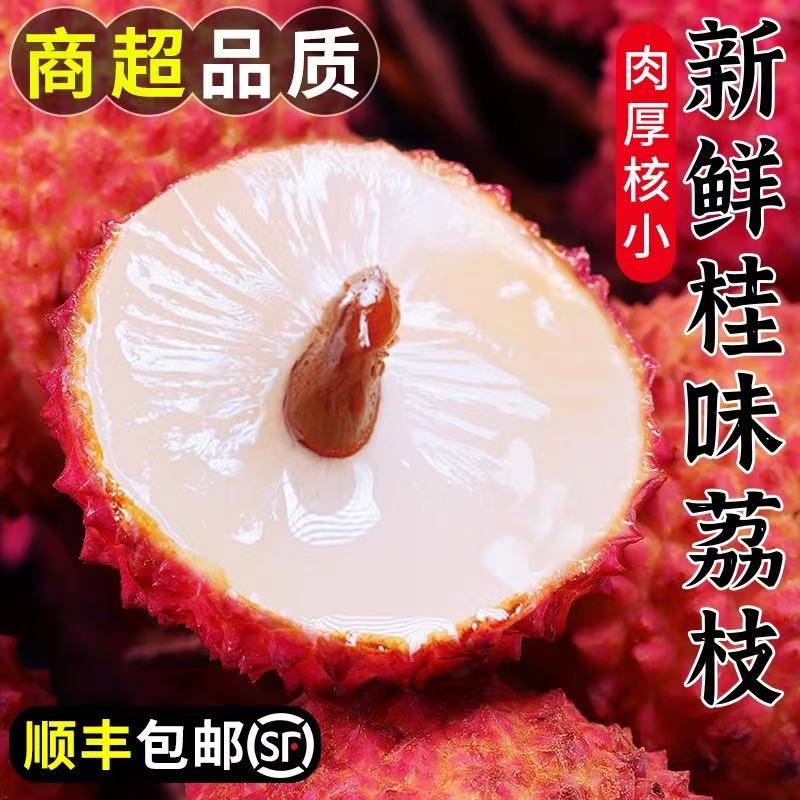 【琪琪奶奶专属】【顺丰快递】正宗广东茂名桂味荔枝新鲜现摘老树荔枝
