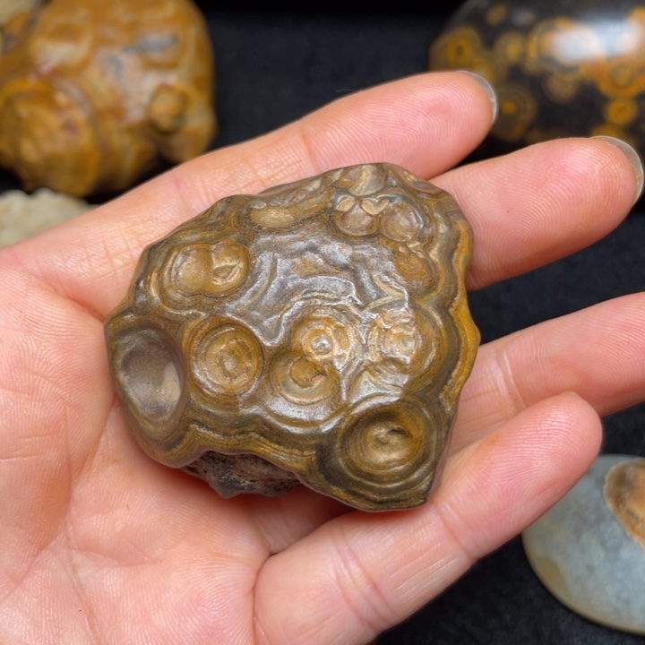 石材九眼页岩钱币石原石182