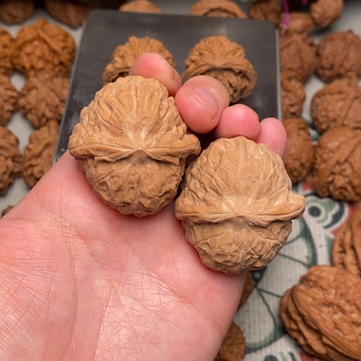 木质南瓜懂40全品