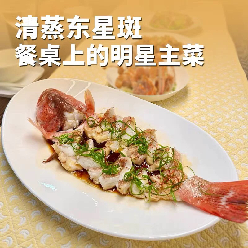 早温州东海海鱼速冻锁鲜