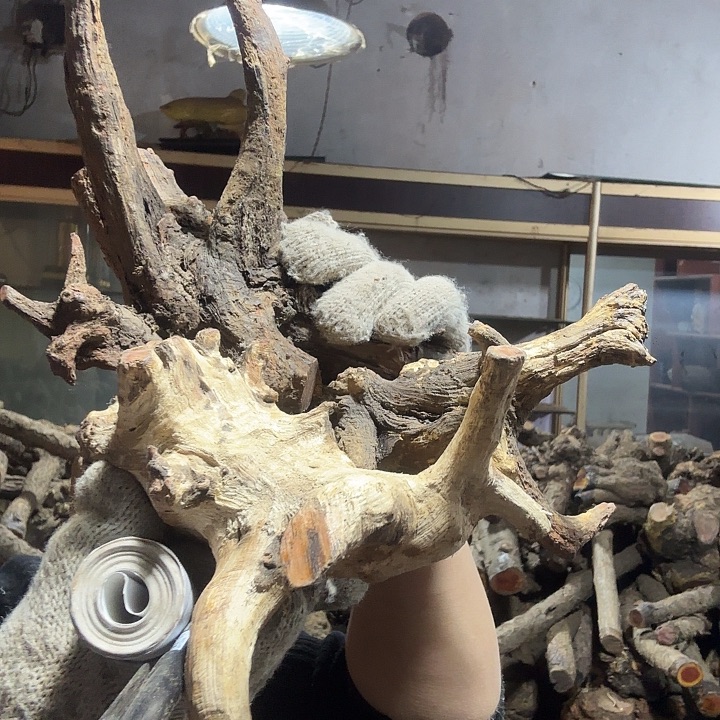 风***起香榧木火琉璃的故事是一