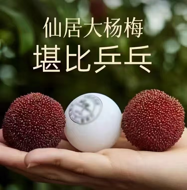 正宗仙居东魁杨梅新鲜采摘冷链空运当季水果