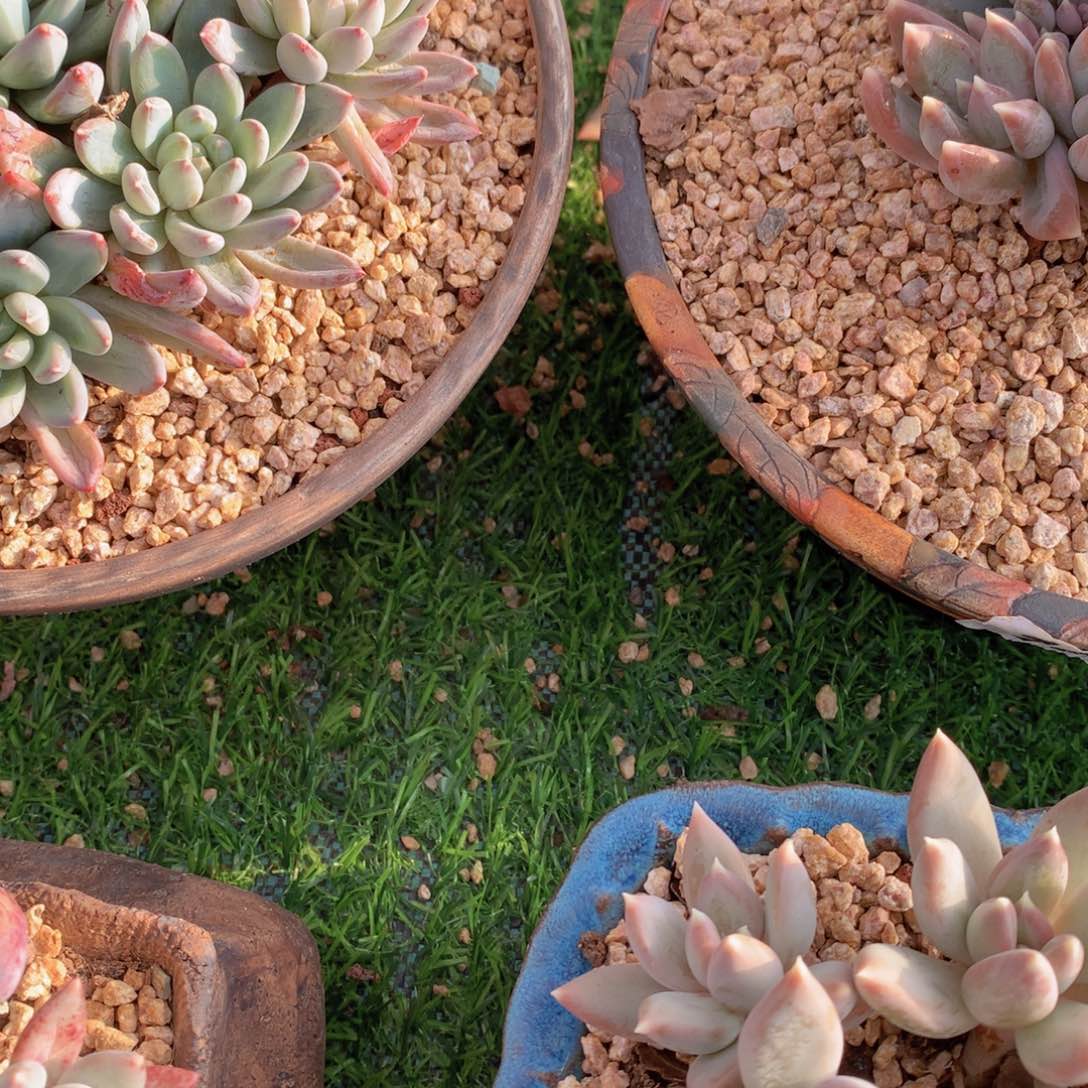 苗***肉一物一拍一物一拍