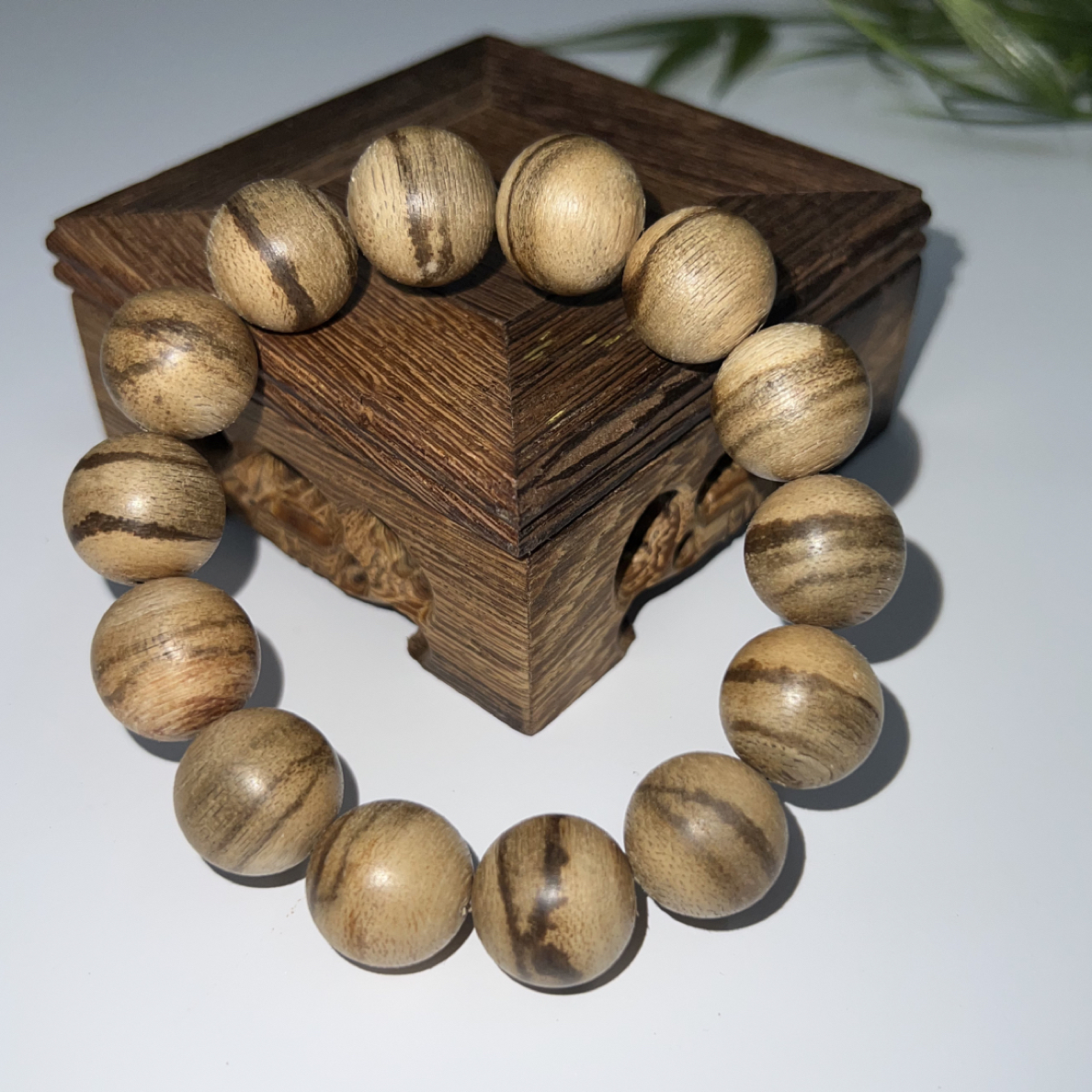 沉香沉香正区达拉干1.6圆珠单圈多样性发一