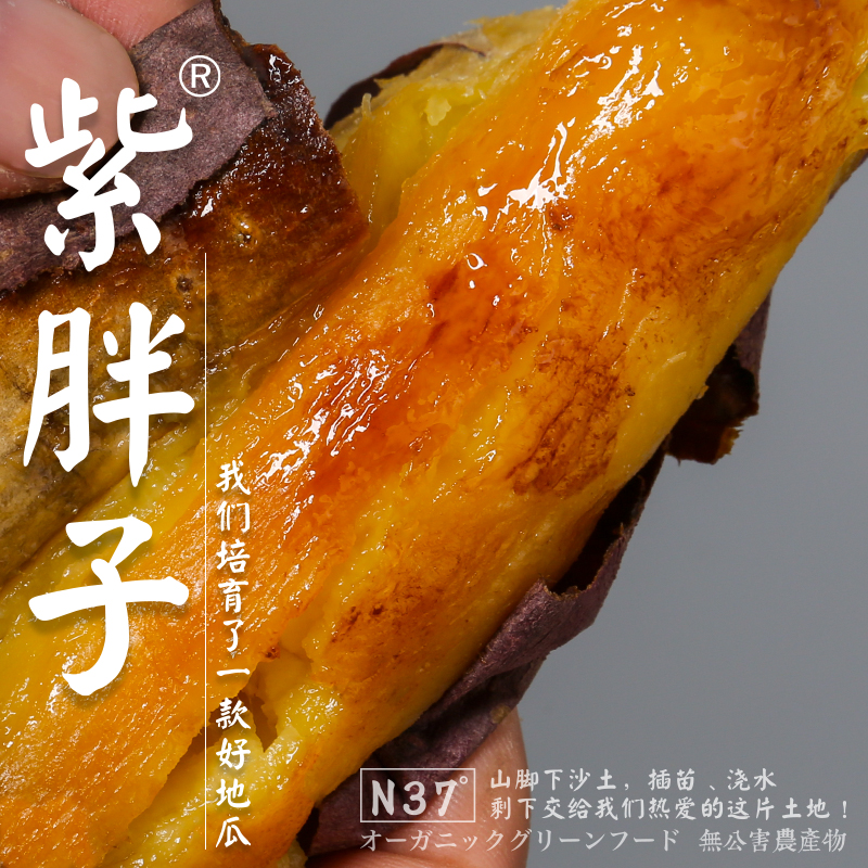 山东紫胖子超甜烤红薯新鲜番薯糖化地瓜甜软糯蜜薯5斤甘甜美味