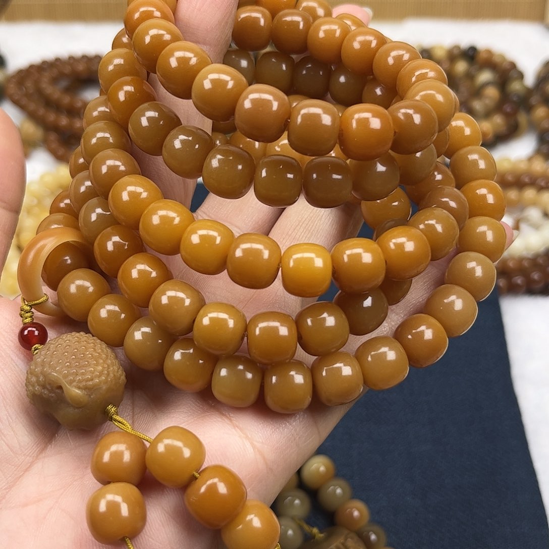 吊坠菩提根/象牙果