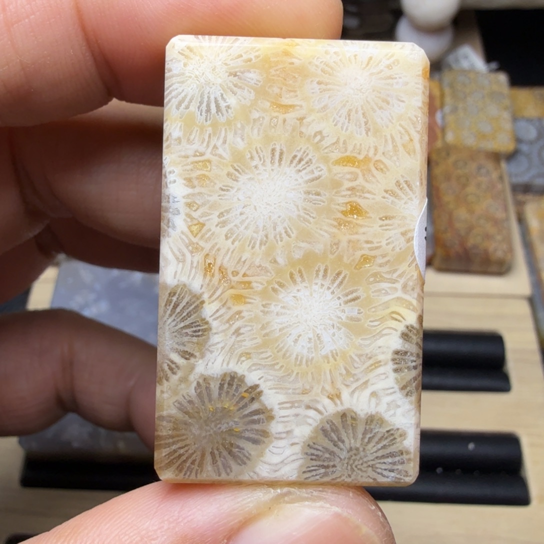 硅化玉未镶嵌纯天然色有机玉石保真色