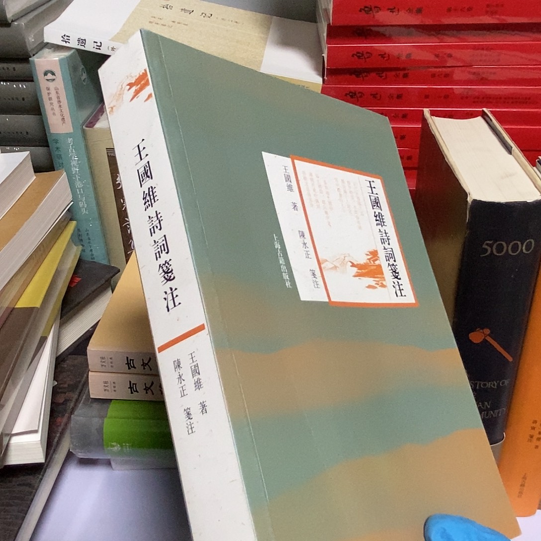 王国维诗词笺注……