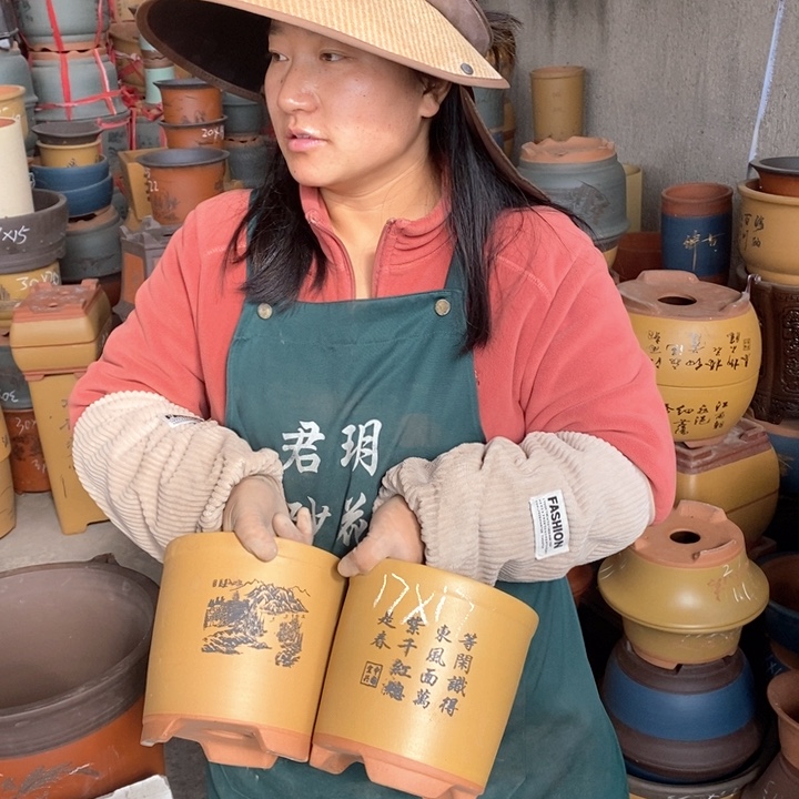 紫砂花盆盆栽花卉苗木种植